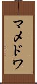 マメドワ Scroll
