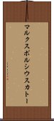 マルクスポルシウスカトー Scroll