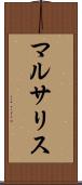 マルサリス Scroll