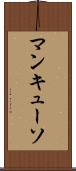 マンキューソ Scroll