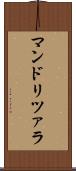 マンドリツァラ Scroll