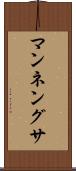 マンネングサ Scroll