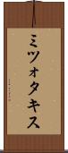 ミツォタキス Scroll