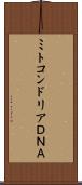 ミトコンドリアＤＮＡ Scroll