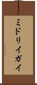 ミドリイガイ Scroll