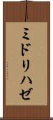 ミドリハゼ Scroll