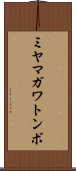 ミヤマガワトンボ Scroll