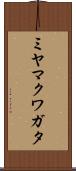 ミヤマクワガタ Scroll