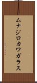 ムナジロカワガラス Scroll
