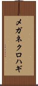 メガネクロハギ Scroll