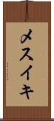 メスイキ Scroll