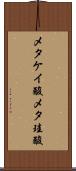 メタケイ酸 Scroll