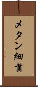 メタン細菌 Scroll