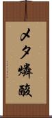メタ燐酸 Scroll