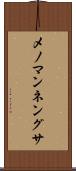 メノマンネングサ Scroll