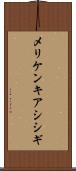 メリケンキアシシギ Scroll