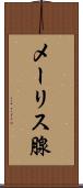 メーリス腺 Scroll
