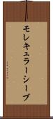 モレキュラーシーブ Scroll