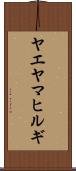 ヤエヤマヒルギ Scroll