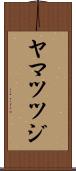 ヤマツツジ Scroll