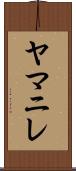 ヤマニレ Scroll