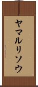 ヤマルリソウ Scroll