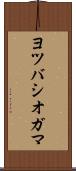 ヨツバシオガマ Scroll