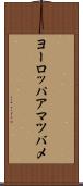 ヨーロッパアマツバメ Scroll