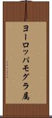 ヨーロッパモグラ属 Scroll