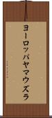 ヨーロッパヤマウズラ Scroll