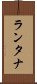 ランタナ Scroll