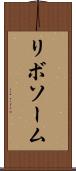 リボソーム Scroll