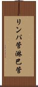 リンパ管 Scroll