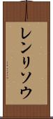 レンリソウ Scroll