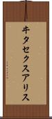 ヰタ・セクスアリス Scroll