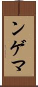 ンゲマ Scroll