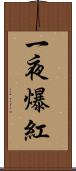 一夜爆紅 Scroll