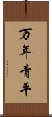 万年青平 Scroll