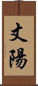 丈陽 Scroll