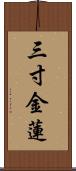 三寸金蓮 Scroll
