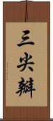 三尖瓣 Scroll