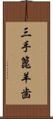 三手篦羊歯 Scroll