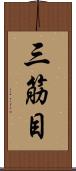 三筋目 Scroll