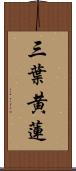 三葉黄蓮 Scroll