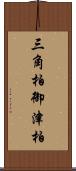 三角柏 Scroll