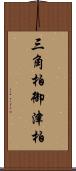 三角柏;御津柏 Scroll