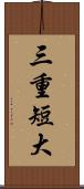 三重短大 Scroll