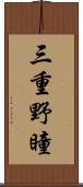 三重野瞳 Scroll