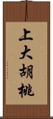 上大胡桃 Scroll