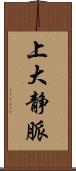 上大静脈 Scroll